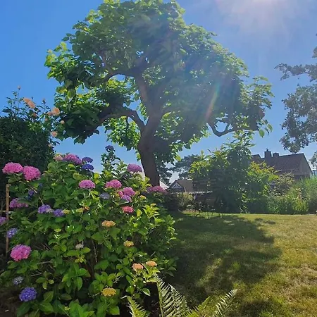 Wohnen Im Gruenen, Privatsauna, Stadtnah, Ruheoase *